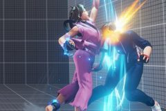 V咲桜拳