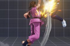 強咲桜拳