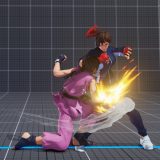 強咲桜拳