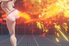 V中フリッパーシュート